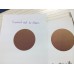 Краска "Хамелеон" серия F1, цвет Brown red - Green , вес 0,100 кг, артикул OVIF1BRG01 (Оптическая краска OVI), производитель CHINA