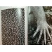 Глянцевая фотобумага A3+, плотность 170 г/м2, 250л, PAPER_FG_SRА3+_170G, для цифровой, струйной печати, формат А3+ (32 * 45), производитель ARCTIC  Volume Whiite 
