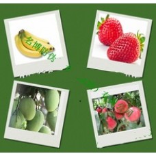 Ароматизированный лак  Aroma Ink ягодно-фруктовый запах, артикул Fruit_Aroma_Ink (Трафаретная краска с ароматом фруктов), производитель CHINA